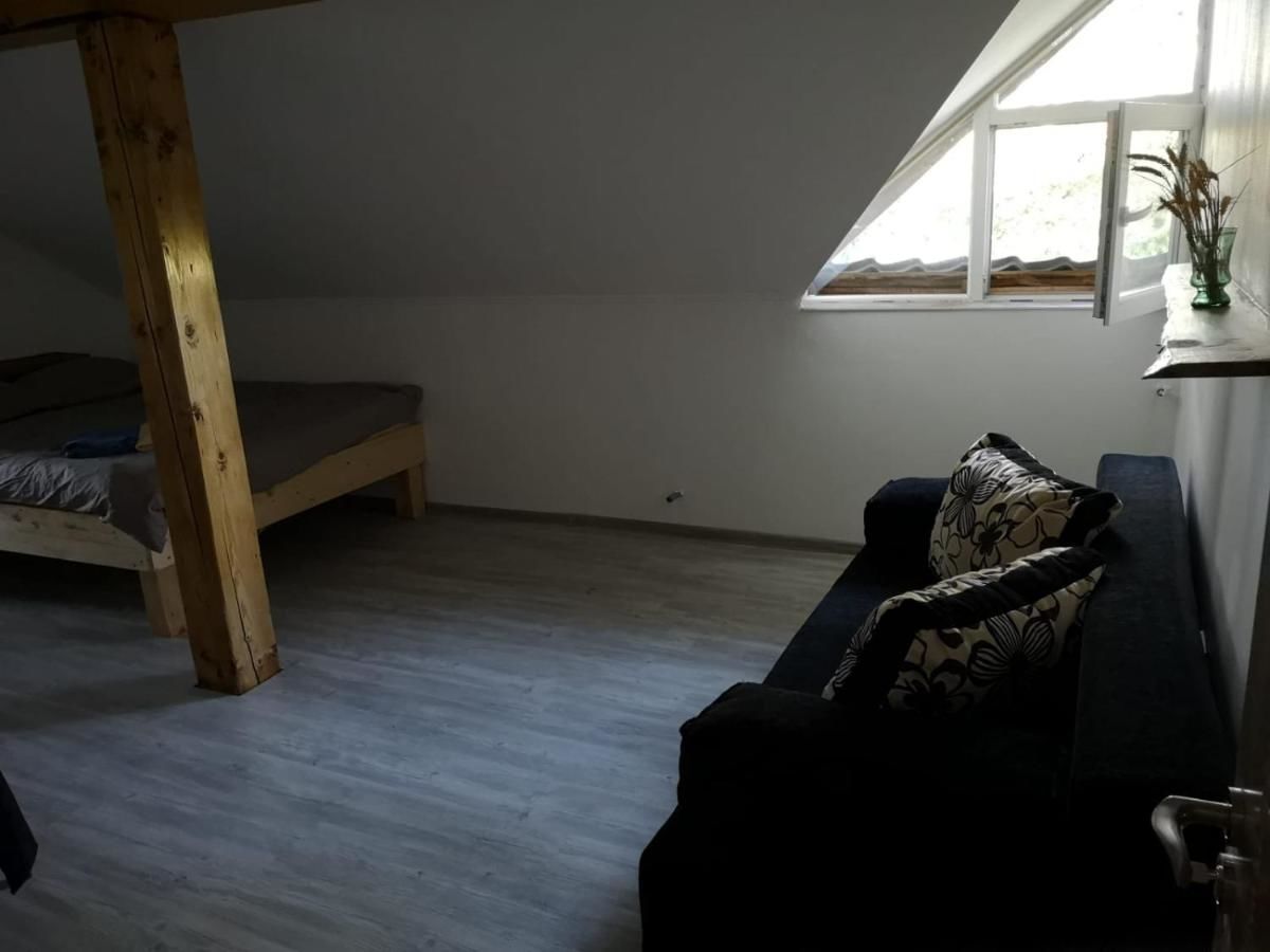 Проживание в семье Casa Eden Băbeni-14