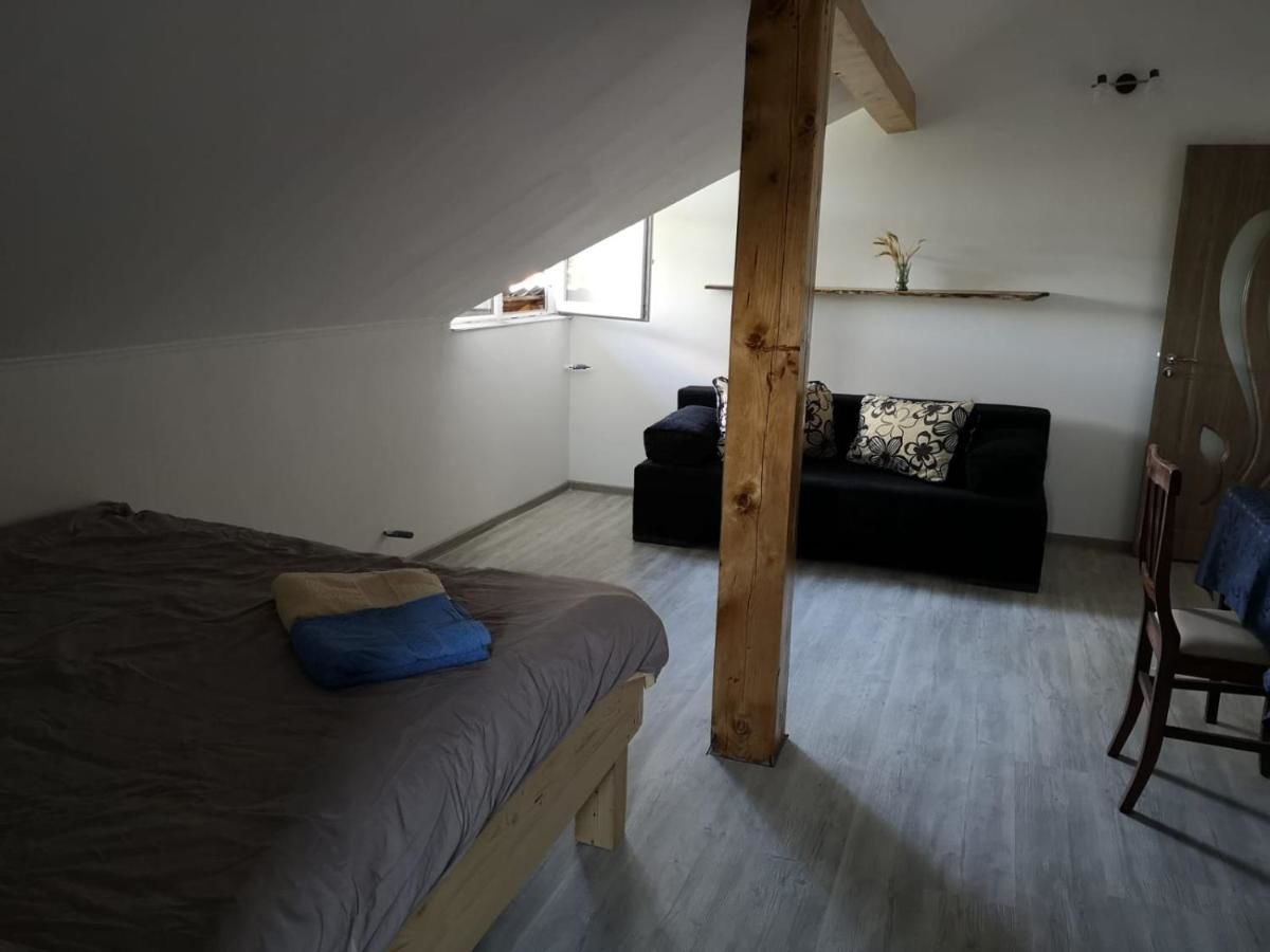 Проживание в семье Casa Eden Băbeni-19