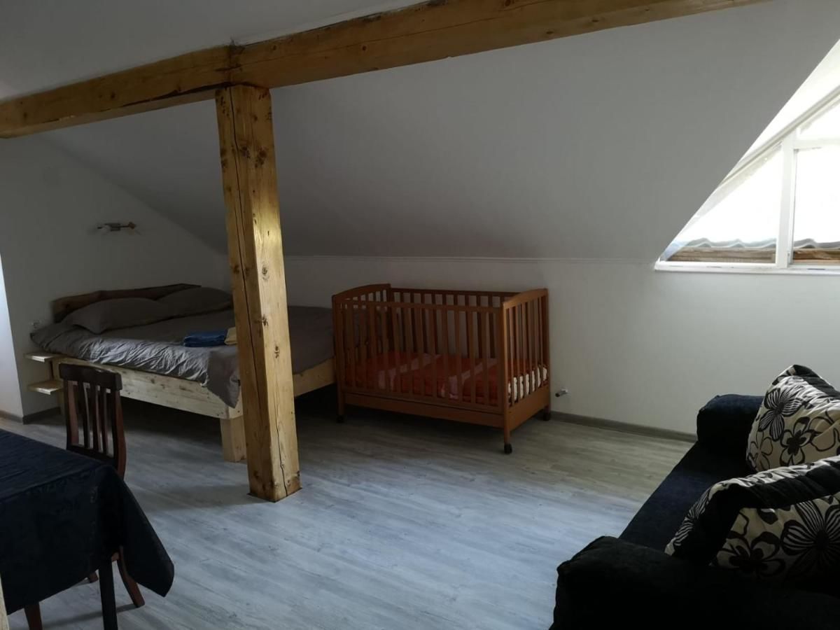Проживание в семье Casa Eden Băbeni-20