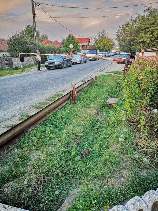 Проживание в семье Casa Eden Băbeni-5