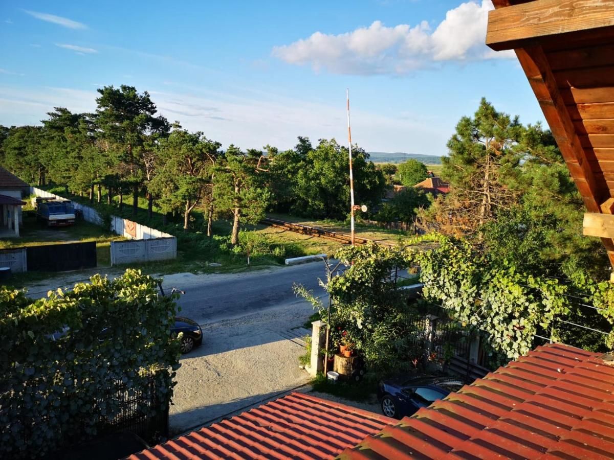 Проживание в семье Casa Eden Băbeni-27