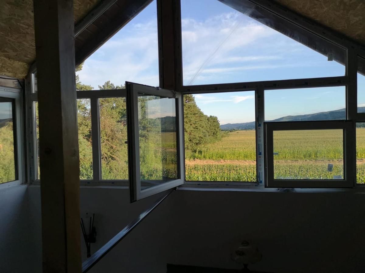 Проживание в семье Casa Eden Băbeni-28
