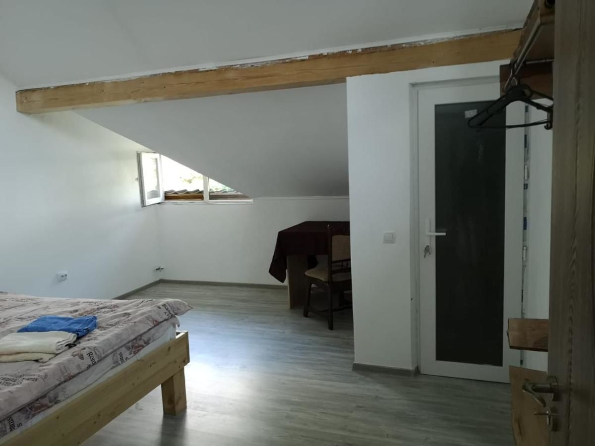 Проживание в семье Casa Eden Băbeni-10