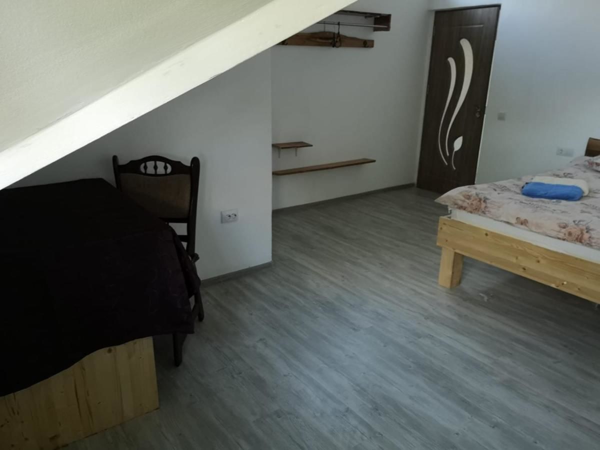 Проживание в семье Casa Eden Băbeni-12