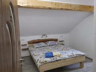 Проживание в семье Casa Eden Băbeni Номер с кроватью размера «king-size»-9